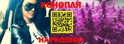 каннабис Кингисепп