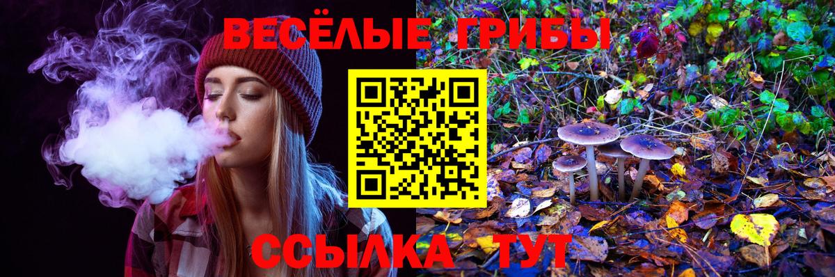 Коммунар  Псилоцибиновые грибы Cubensis  Вход с VPN 